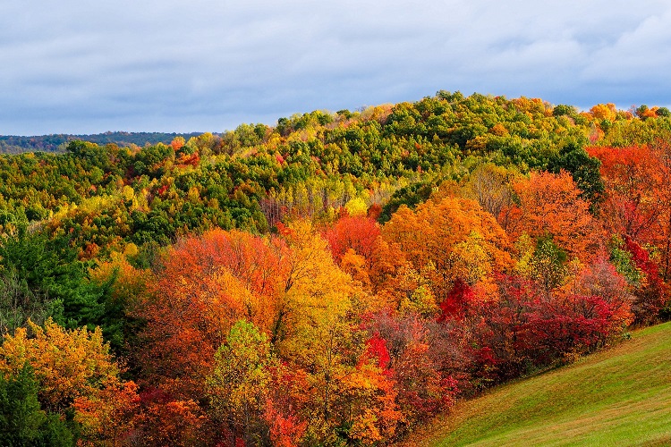 Fall+offers+fireworks+of+color+in+Ohio.