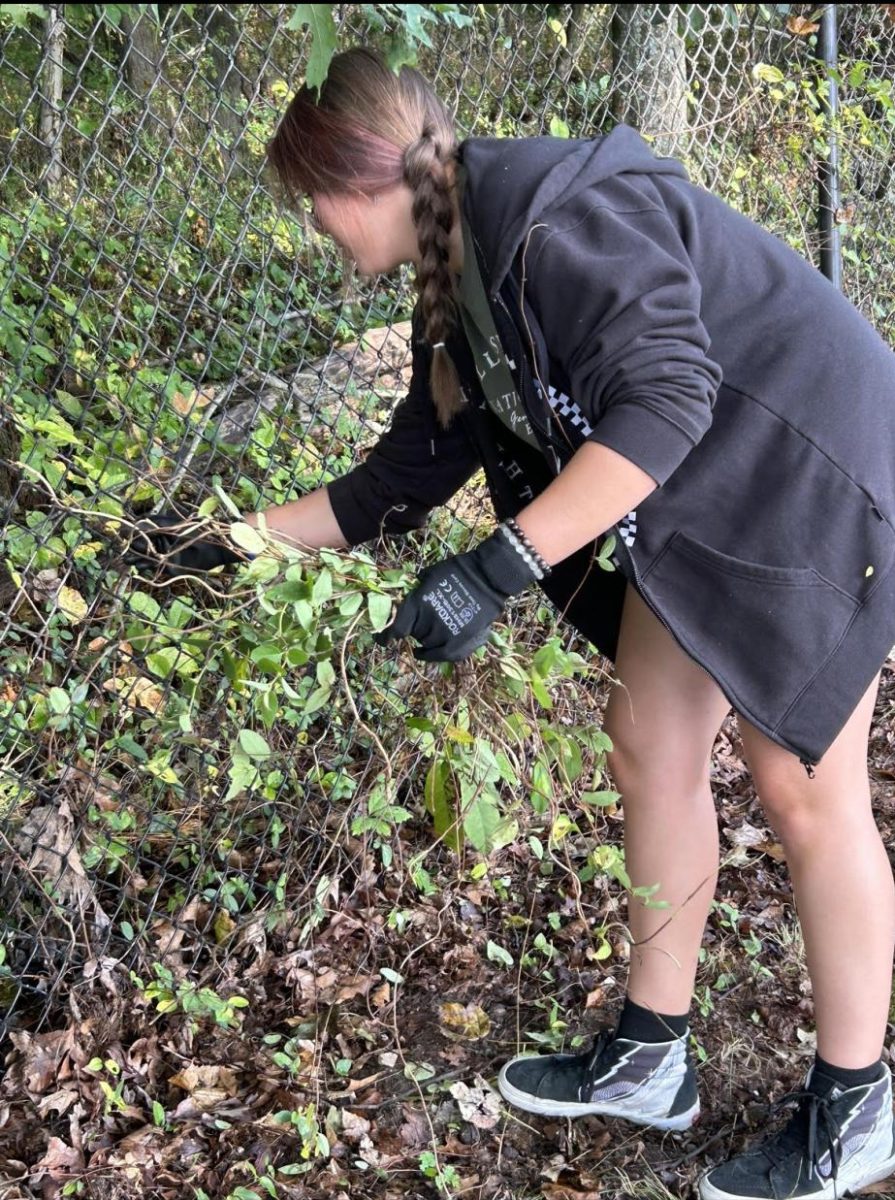 LHS junior Addyson Brown volunteered to pull weeds at  the Fairfield County Humane Society for Community Care Day.
