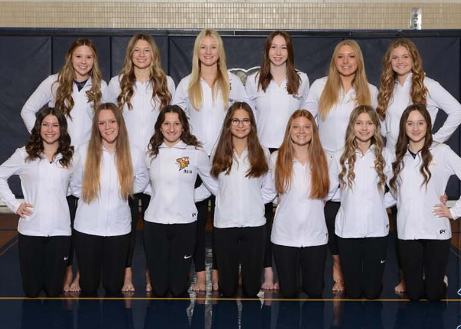 The 2024 Lancaster high school gymnastics team. Photo courtesy of LHS Athletic website.
