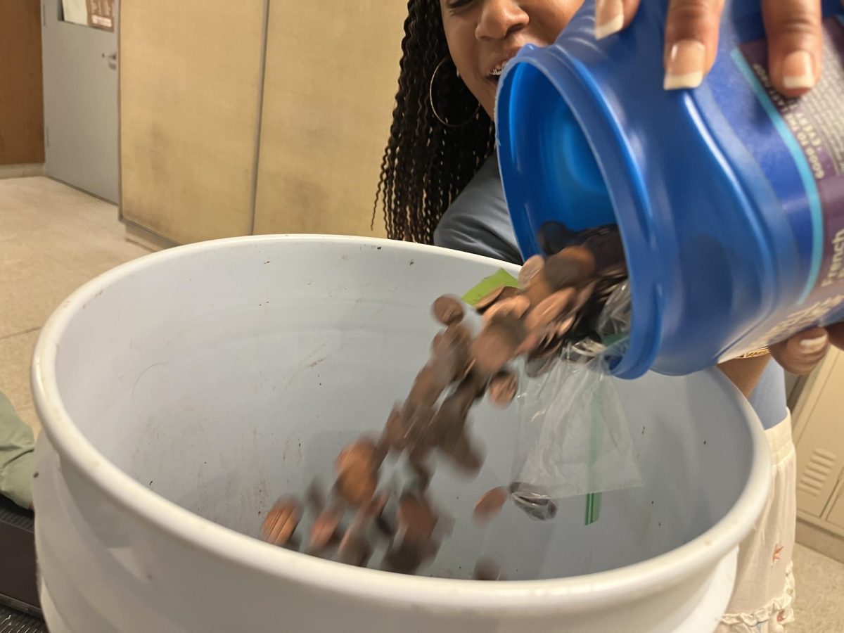 Sophomore Mercedes Sherrick pouring pennies into a Penny Day coin-collecting bucket. 