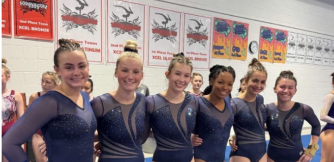 LHS 2024- 2025 gymnastics team. Photo courtesy of Lape. 
