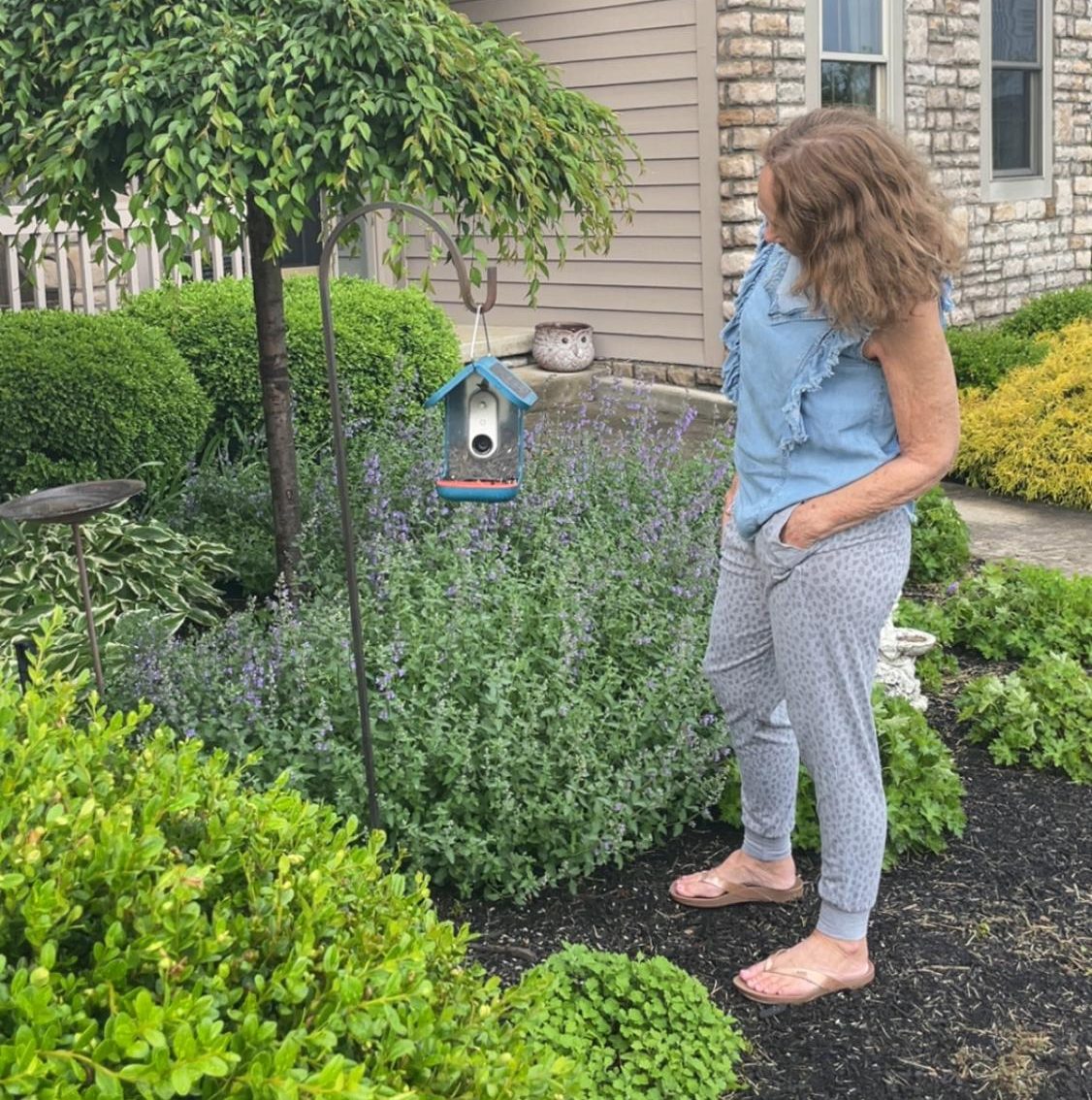 Lancaster resident Heidi Watts checks her electronic bird feeder that identifies various bird species.
